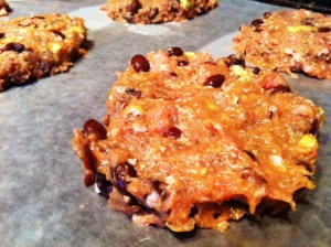 Black Bean-Turkey Burger Patties