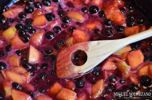 Blueberry-Peach Fruit Filling