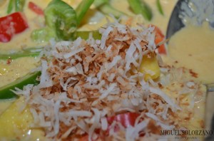 Toasted Coconut in Curry